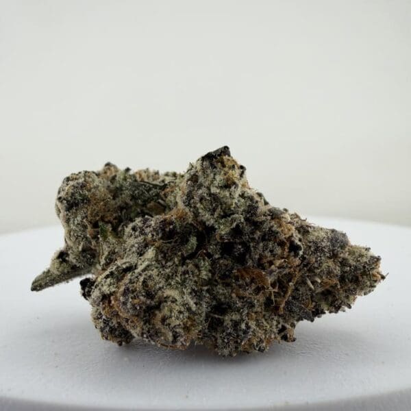 RAINBOW RUNTZ | Premium Hybrid Cannabis Flower 🔥 NEW DROP