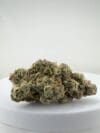 EL CHEMINO | Premium Hybrid Cannabis Flower 🔥 NEW DROP