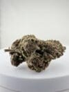 TROPICANA CHERRY | Premium Sativa-Dominant Hybrid Cannabis Flower 🔥 NEW DROP