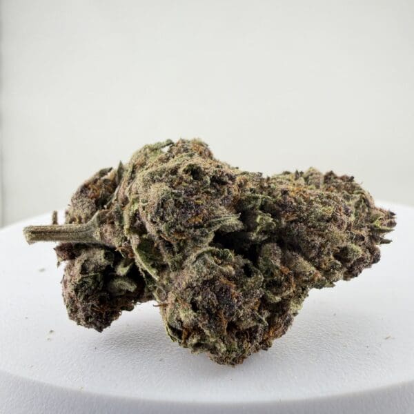 TROPICANA CHERRY | Premium Sativa-Dominant Hybrid Cannabis Flower 🔥 NEW DROP