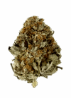Biscotti | Indica-Dominant Hybrid Premium Cannabis Flower 🔥 New Drop
