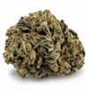 Blue Gusher | Premium Hybrid Cannabis Flower 🔥