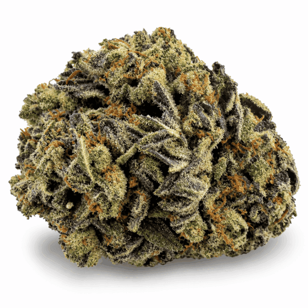 Blue Gusher | Premium Hybrid Cannabis Flower 🔥