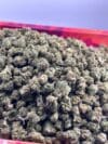 Blue Nerd | Hybrid Cannabis Flower | Sweet Berry & Fruity Candy - Image 2