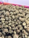 Candy Cake | Hybrid Cannabis Flower | Sweet Candy & Vanilla Cream - Image 2