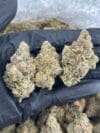 Gas Money | Premium Hybrid Cannabis Flower 🔥 - Image 2