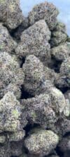 Tim Mochi Gelato | Premium Hybrid Cannabis Flower 🔥 NEW DROP - Image 3