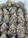 Bubble Gam | Premium Hybrid Cannabis Flower 🔥 NEW DROP - Image 4