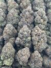 Bubble Gam | Premium Hybrid Cannabis Flower 🔥 NEW DROP - Image 7