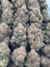 Bubble Gam | Premium Hybrid Cannabis Flower 🔥 NEW DROP - Image 2