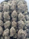 White Cherry Gelato | Premium Hybrid Cannabis Flower 🔥 - Image 4