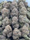 Gumbo – Indica-Dominant Hybrid - Image 2