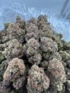 Gumbo – Indica-Dominant Hybrid - Image 3