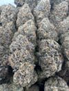 Crunch Berries | Premium Hybrid Cannabis Flower 🫐🥣🔥 - Image 4