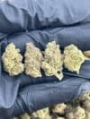 HASH BURGER(MED) | Premium Indica-Dominant Hybrid Cannabis Flower 🔥 NEW DROP - Image 7