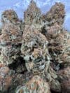 Birthday Cake | Premium Indica-Dominant Cannabis Flower 🔥 New Drop - Image 6