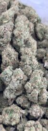 Green Crack | Sativa Cannabis Flower | Tropical Mango & Citrus - Image 3
