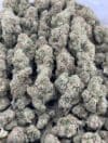 Green Crack | Sativa Cannabis Flower | Tropical Mango & Citrus - Image 4