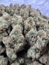 Green Crack | Sativa Cannabis Flower | Tropical Mango & Citrus - Image 6