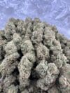 Green Crack | Sativa Cannabis Flower | Tropical Mango & Citrus - Image 7