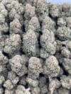 Lemon Haze | Sativa-Dominant Hybrid | Cannabis Flower - Image 4