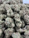 Blue Dream | Sativa-Dominant Hybrid | Cannabis Flower - Image 6