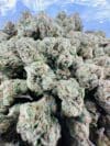 Blue Dream | Sativa-Dominant Hybrid | Cannabis Flower - Image 7