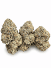 Lemon Gusher | Premium Hybrid Cannabis Flower 🔥