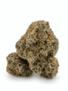 JS Mochi | Premium Hybrid Cannabis Flower 🔥