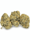 CANDY RAIN | Premium Hybrid Cannabis Flower 🔥 NEW DROP