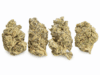HASH BURGER(MED) | Premium Indica-Dominant Hybrid Cannabis Flower 🔥 NEW DROP