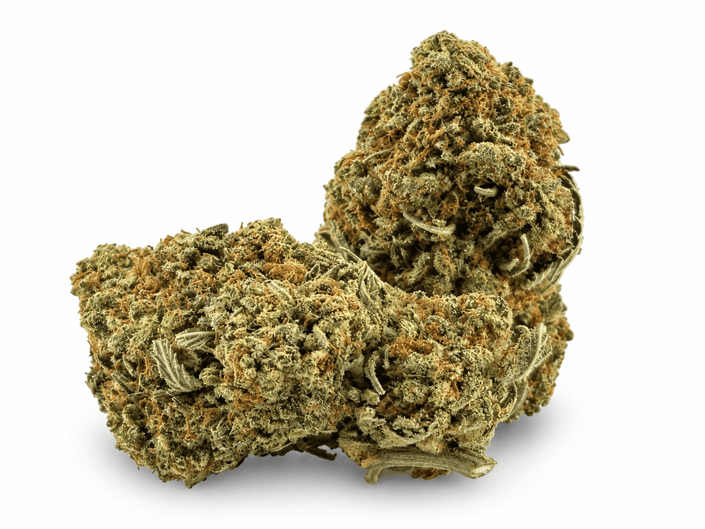 白底大麻花苞微距特寫.png Gelato King | Premium Hybrid Cannabis Flower 👑🔥 - Image 1