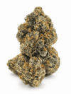 Bubble Gam | Premium Hybrid Cannabis Flower 🔥 NEW DROP