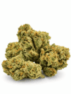 Blue Dream | Sativa-Dominant Hybrid | Cannabis Flower