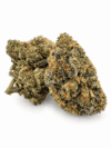 XI Osaka Cherry | Premium Cannabis Flower 🌿