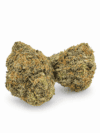 JS Poison Runtz | Premium Hybrid Cannabis Flower 🔥 NEW DROP