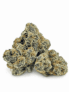 Varni | Premium Exotic Cannabis Flower 🌿🔥