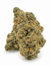 Super Bolo Gelato | Premium Hybrid Cannabis Flower 🔥 NEW DROP