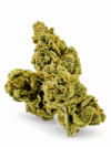 Kush Mint | Hybrid Cannabis Flower | Minty Cookies & Earthy Kush